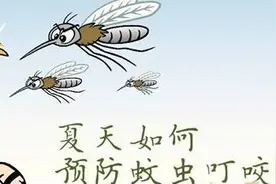 夏日驱蚊的十款日本神物，让你轻松告别蚊虫叮咬！图片