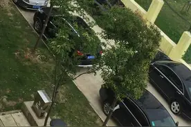 邻居上班开现代，儿子结婚婚车队豪车一长排，低调还是装面子？图片