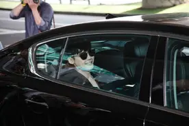 李钟硕终于不再苦大仇深，即将化身超级财阀图片