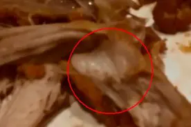 在肯德基吃出多条蠕动的虫子，令人作呕......视频封面