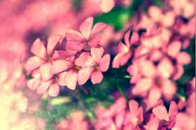 你的手机尾号是几？七月发横财！图片