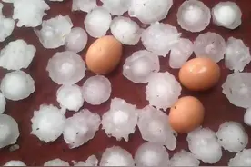 鸡蛋大的冰雹从天而降 家里的太阳能葡萄核桃遭了秧图片