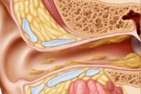 为什么洗完澡耳朵就堵住了？图片