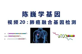陈巍学基因 视频20：NanoString检测融合基因视频封面