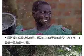 蚊子可以做饼吃，不能只让蚊子喝我们血，人类也开始吃蚊子了图片