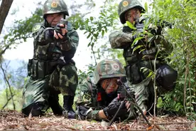 武警兵哥哥开展“丛林狙击训练”，带你去感受下！图片