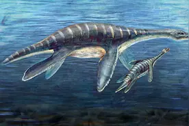 海边女孩捡到一个储存着未知语言的海螺，揭开渤海海怪的骇人传说图片