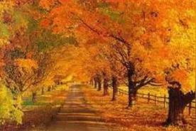 邯郸：魏县盖公台的历史故事，你知道吗？图片