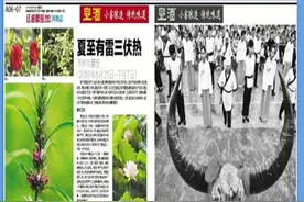 江淮晨刊：白娘娘起神通 演民俗迎夏至图片