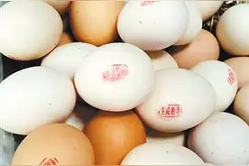 老汉街上卖鸡蛋 每只鸡蛋盖私章卖质量不好退回来图片