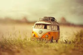 一毛不拔，哪怕很有钱也小气到不行的生肖图片