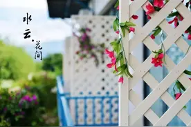 超实惠价格+超唯美设计+一只会喝酒的美汪，这个夏天一线海景房图片