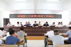 泗城镇召开七月份第3周周工作例会图片