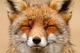 你试过在朋友圈里晒这个九宫格么？会是怎样的体验呢？图片