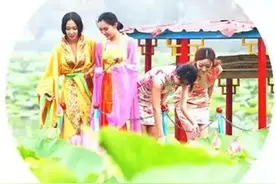 沈阳新民荷花节7月25日开幕了，去不上没关系，这里也能看到图片