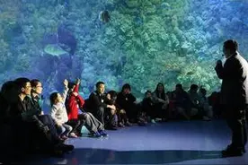 中伏热浪来袭，海洋嘉年华清凉你的夏日！图片