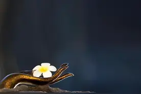 感觉身体被掏空？看看住宅风水出了什么问题图片