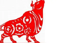 生肖趣事——生肖牛与西班牙斗牛大揭密图片