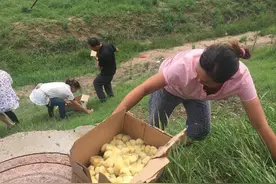 大货车高速翻车物资被抢，“手无缚鸡之力”的村民们变身大力士图片