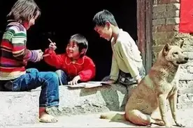 中国土狗完胜外国贵族狗，中国奥运强，国狗也自强！图片