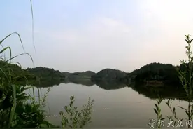 揭秘：资阳城区自来水竟然是这样来的？图片