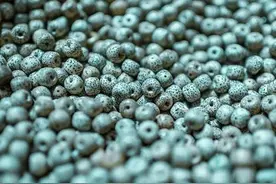 星月菩提价格与品级的对应关系图片