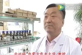 蓝色蔬菜有猫腻！赶紧试试你家的菜上面有没有这个东西！图片