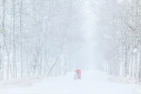 为什么按快门没反应？相机为什么对不上焦？－摄影早自习第68日图片