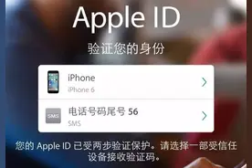 这项让iPhone更安全的隐藏功能 让小偷彻底懵逼了图片