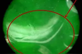 学会这几招，“穿衣翡翠”便难逃你的火眼金睛图片