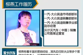 沃尔沃中国柳燕离职 或将告别汽车行业图片