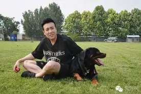 《警花与警犬》的妞妞是什么品种？剧中警犬大解析图片