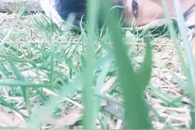 TFBOYS王源同款熊猫上线 粉丝齐喊：王源，是你吗？图片