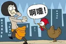 你家里养了鸡鸭鸽子？那一定要关注这条信息啦！图片