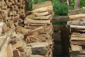 30秒内你能找到图中的猫么？如此会隐藏也是绝了，感觉眼睛已瞎图片