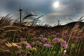 微澜波声，半夜雾雨图片