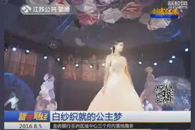 白纱织就的公主梦图片