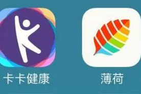 薄荷 卡卡健康 MyfitnessPal 减肥你用哪个？图片