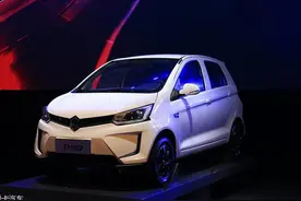 低速电动车新选手 雷丁D80/小骑士发布图片