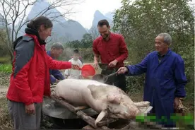外国人来中国农村，体验传统杀猪方法图片