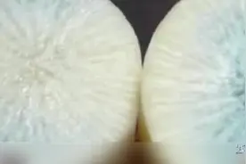 萝卜心变色还能吃吗？专家告诉你，这样的萝卜是否能吃~