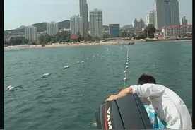 烟台第一海水浴场布设防鲨网 为市民提供优良海滨环境图片