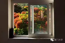 是不是凤凰花不开，我们就不用走了图片