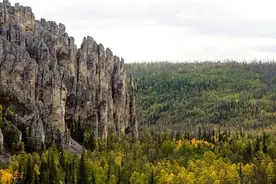 俄罗斯一产妇原始森林分娩 警察帮忙赶熊图片