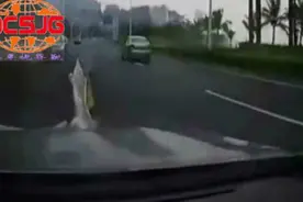 吉林交警警示栏—女司机 她用任性的方式告诉世界！我霸气！图片