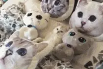 搞笑GIF图片：姑娘你这个屁的威力够大啊图片