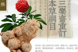 三七 ----餐桌上的良药(2)