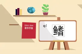 “鳍”怎么读？