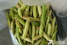 记忆中的豌豆荚图片
