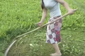 文本直送科技新闻: 原来死神的镰刀是这样用的图片